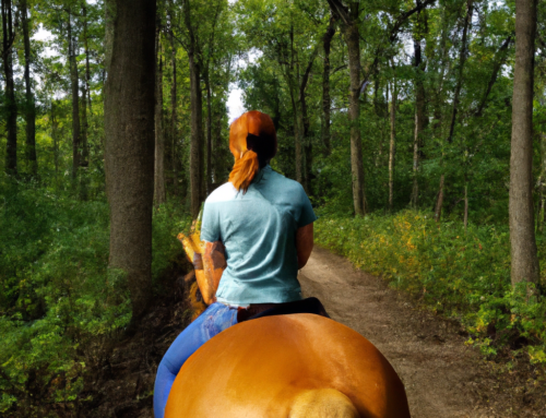 Best of Horseback Riding in Brown County, Indiana